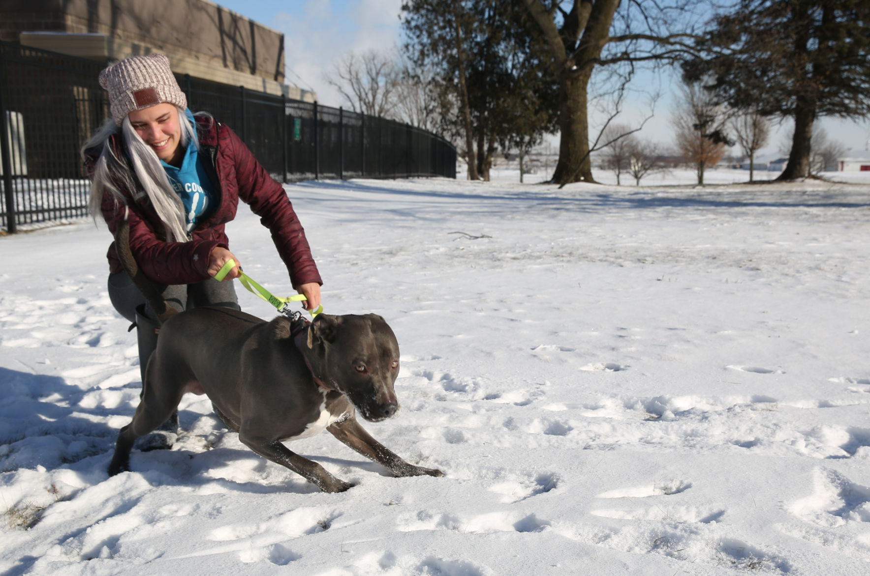 Veterinarian warns: 'If you're cold, your pets are cold'
